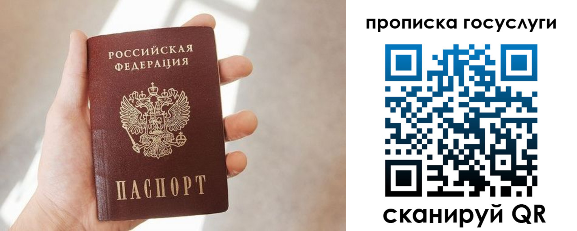 временная регистрация законно в Светлом